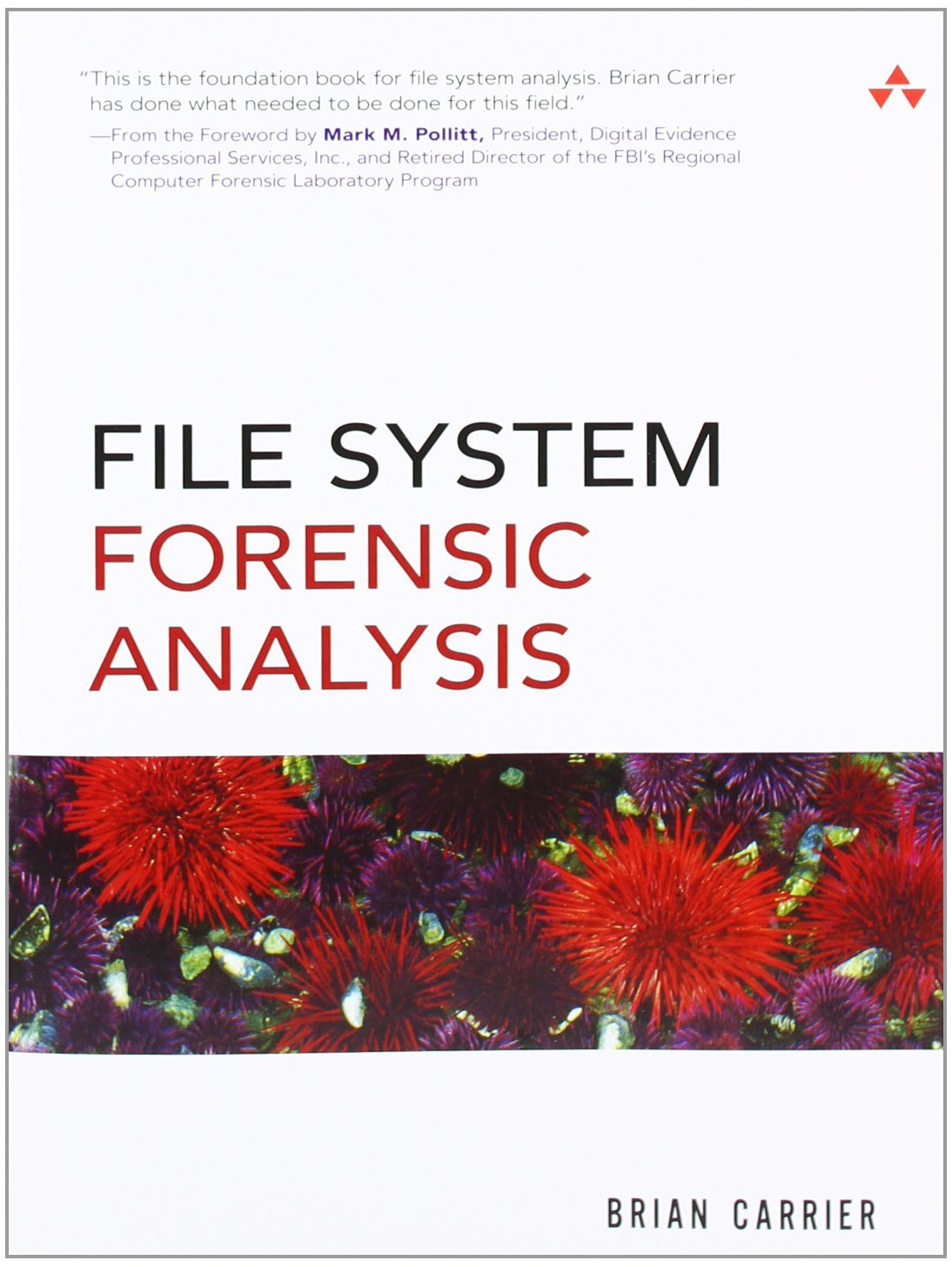  File System Forensics 